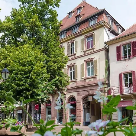 Apartment Centre Historique La Collegiale