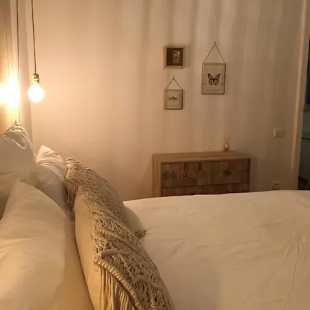 Centre Historique La Collegiale * Colmar