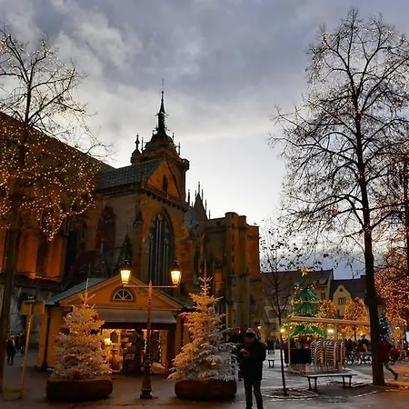 Centre Historique La Collegiale Апартаменты Кольмар