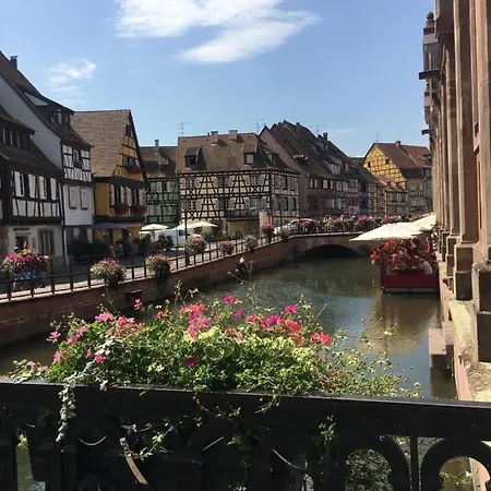 Apartment Centre Historique La Collegiale *